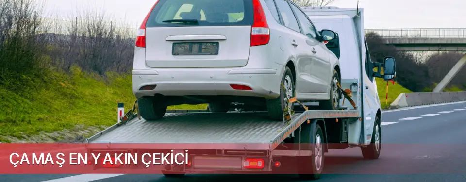 Çamaş İlçemi En Yakın Çekici